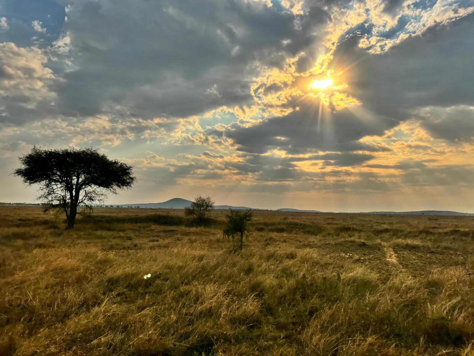 ed67b53c-67eb-4509-bc20-e80f63b385a9